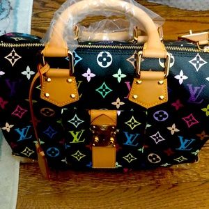 Louis Vuitton Multicolor Speedy